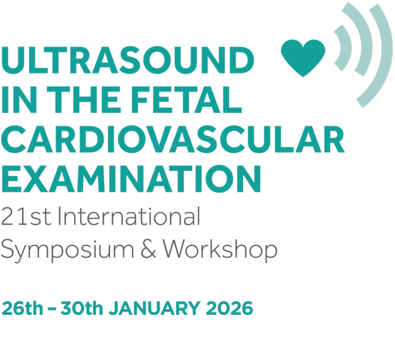 the-location-ultrasound-in-the-fetal-cardiovascular-examination